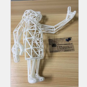 De gran calidad para Sls de plástico Color de alambre de Color <span class=keywords><strong>3D</strong></span> de impresión - Product Image 6