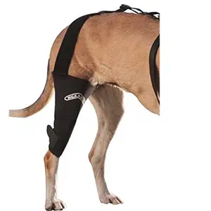 Custom Canine เข่ารั้ง 3.0 มม. Neoprene Security Service สนับสนุนสายคล้องคอสุนัขสำหรับการบาดเจ็บเดิน