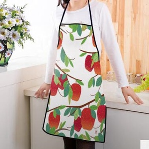 Red Apple Thiết Kế In Ấn Tạp Dề Cho Thu Hoạch Khuyến Mãi Với Chất Lượng Tốt Và Giá Thấp Tạp Dề Với BSCI Kiểm Toán Thông Qua Nhà Máy Sản Xuất - Product Image 6