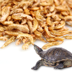 Nourriture pour Tortues <span class=keywords><strong>Gammarus</strong></span>, Crevettes Brésiliennes Séchées, Alimentation en Grains pour Tortues Chinoises - Product Image 2