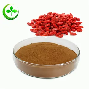 100% Natural Beauty Plant Wolfberry Extract / Goji Berry Extract For Sale