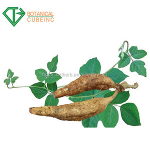 <span class=keywords><strong>Pueraria</strong></span> <span class=keywords><strong>lobata</strong></span> Extracto de Kudzu Extracto de raíz Puerarin o <span class=keywords><strong>Pueraria</strong></span> flavonoides - Product Image 4