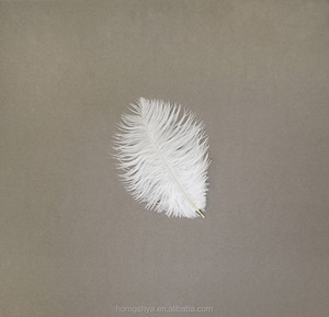 Venta al por mayor plumas de <span class=keywords><strong>avestruz</strong></span> <span class=keywords><strong>comprar</strong></span> plumas de <span class=keywords><strong>avestruz</strong></span> venta al por mayor plumas de <span class=keywords><strong>avestruz</strong></span> de la boda - Product Image 1