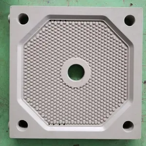 Plate and Frame Filter Press Plate Replacement for Recessed Plate Filter Press Operation from Leo Filter Press