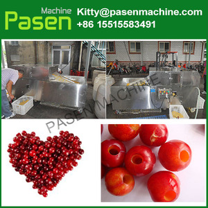 Remoção da máquina | máquina de Fruta pitting cereja pit | máquina pitting Cereja - Product Image 3