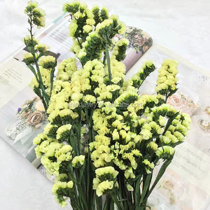 Fiori Secchi di Non-Ti-Scordar-Di-Me Blu Preservati dello Yunnan, Statice <span class=keywords><strong>e</strong></span> Limonium per Laurea, MOQ 50 Pezzi - Product Image 5