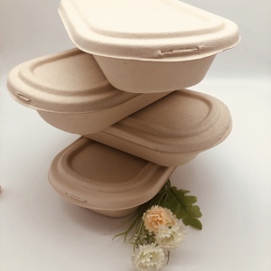 Boîte alimentaire jetable écologique compostable <span class=keywords><strong>de</strong></span> 1000 ml avec couvercle <span class=keywords><strong>en</strong></span> pulpe naturelle, boîte à emporter <span class=keywords><strong>en</strong></span> <span class=keywords><strong>fibre</strong></span> <span class=keywords><strong>de</strong></span> <span class=keywords><strong>canne</strong></span> à <span class=keywords><strong>sucre</strong></span> avec couvercle - Product Image 4