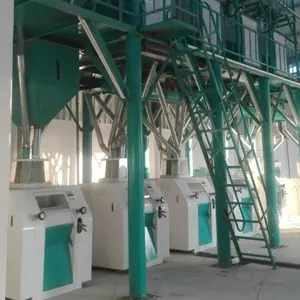 50TPD maize bran feed processing machines maize hammer