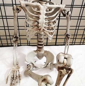 Bán Buôn Thời Trang Trung Quốc Hợp Thời Trang Ba Loại Kích Thước Halloween Skeleton - Product Image 4