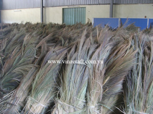 Escoba de hierba seca materia prima para hacer escoba de hierba escoba materia prima de Vietnam precio al por mayor - Product Image 5