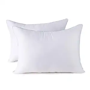 OEM Cheap Soft Hotel quality 2pcs hypoallergenic 100% cotton fabric soft down pillow with piping