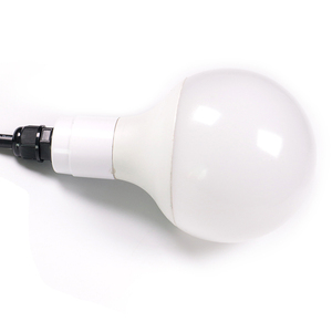 24V 5050 80Mm Rgb Led Pixel <span class=keywords><strong>Dmx</strong></span> Bulb Đối Với Trang Trí Công Viên Giải Trí Chiếu Sáng - Product Image 5