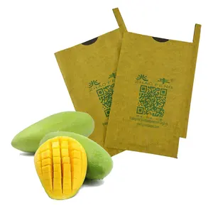 China Manufacturer High Quality Mango Bag Waterproof Mango Protection Paper Bag