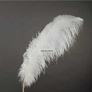 <span class=keywords><strong>Acheter</strong></span> blanc artificielle d'autruche maîtresses de couleur terne grand boa en vrac <span class=keywords><strong>plumes</strong></span> d'autruche ventilateur - Product Image 5