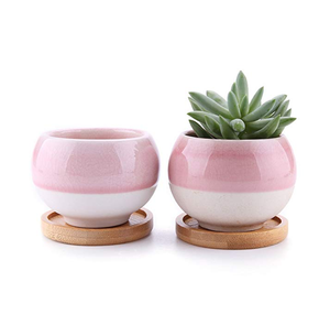 Color de cristal suculentas macetas <span class=keywords><strong>Rosa</strong></span> macetas Cactus cerámica macetas con drenaje bandeja de Bambú. - Product Image 1
