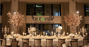 Bàn Đám Cưới Trang Trí Nhân Tạo Cây Hoa Anh Đào/Sử Dụng Trong Nhà Mini Hoa Anh Đào Cây - Product Image 6