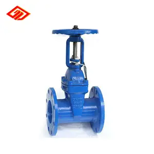 Cast iron ring stem resilient seated flanged gate valve PN16 DN100