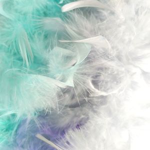 ขนไก่งวงสีรุ้งขนาด40กรัมสำหรับตกแต่ง - Product Image 4
