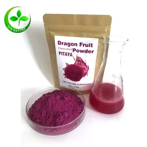 High quality red dragon fruit powder vietnam wholesale