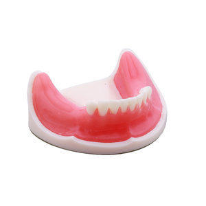 Edentuous pratica di Impianto mascella modello mandibolare per incisione e pratica di perforazione - Product Image 1