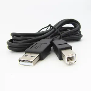 Usb Cable To Usb Custom Usb-A Male To B Male 2.0 Data Charging Cable Usb B Type Printer Cable