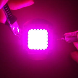 Làm Cho J <span class=keywords><strong>Chip</strong></span> <span class=keywords><strong>80W</strong></span> Hồng Full Spectrum Nhà Máy Grow <span class=keywords><strong>Cob</strong></span> <span class=keywords><strong>Led</strong></span> <span class=keywords><strong>Chip</strong></span> - Product Image 6