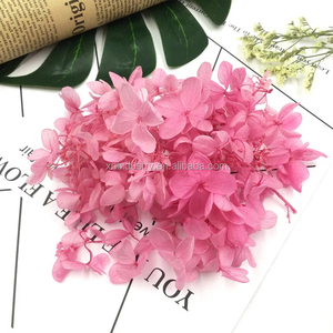 Decorazione di cerimonia nuziale materiale fai-da-te jiangfiori decorativi naturali e ghirlande fiore conservato tocco reale Anna <span class=keywords><strong>ortensia</strong></span> - Product Image 4