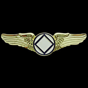 Nuevo caliente personalizado compra bastante buscando alas piloto Pin insignia - Product Image 2