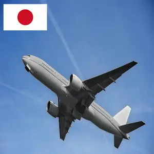 Promotor de la carga de exportación de importación de envío a Japón