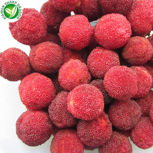 Suministro de China congelado IQF Arrayán rojo fruta congelada - Product Image 2