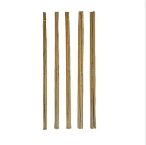 Natural raw bamboo poles for farmland