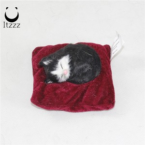 Die kuscheligen, schlafenden katze eines elenden, kuscheltiers passen sich an, als wä<span class=keywords><strong>re</strong></span> er ein akutes tier-puppengeschenk - Product Image 1
