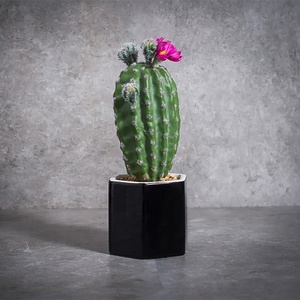 Vente chaude Décoration De La Maison En Céramique D'intérieur En Pot Plante Succulente <span class=keywords><strong>Grand</strong></span> <span class=keywords><strong>Cactus</strong></span> Artificiel - Product Image 6