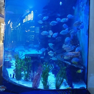 Moderne ontwerp top kwaliteit ang clear aquarium zeewater aquarium en acryl aquarium - Product Image 5