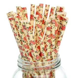 <span class=keywords><strong>Paille</strong></span> de papier en bambou, logo personnalisé et écologique, <span class=keywords><strong>paille</strong></span> de papier à boire, 100% biodégradables, non couleurs, <span class=keywords><strong>prix</strong></span> d'usine - Product Image 1