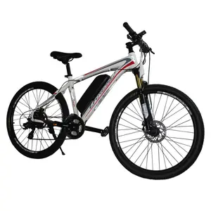 Import Bikes From China /buy An Electric Bike/best Electric Bike Supply Shop Online