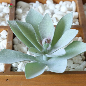 Cây Mọng Nước Nhân Tạo Để Trang Trí Trong Nhà - Product Image 5