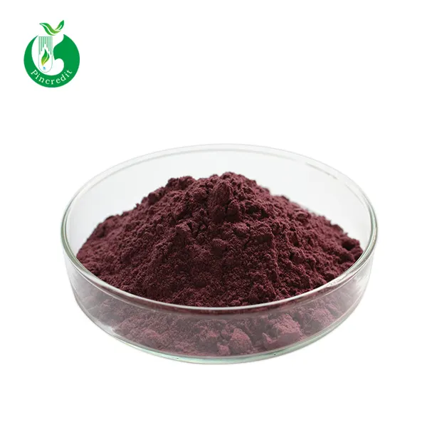 GMP Standard Supplier Natural Grape Seed Extract Powder