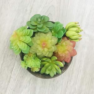 13 unids Artificial flores <span class=keywords><strong>suculentas</strong></span> <span class=keywords><strong>a</strong></span> granel para DIY boda jardín fiesta de oficina comercial o casa Decoración - Product Image 5