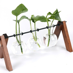 Vaso di fiori in vetro trasparente moderno <span class=keywords><strong>con</strong></span> Base in <span class=keywords><strong>legno</strong></span> Design creativo appeso per la decorazione della casa giardino natale vacanza Rattan materiale - Product Image 2