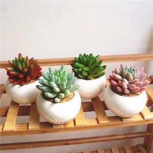Desk decoration Artificial Succulents Plants potted fingers shape plant for home decoration