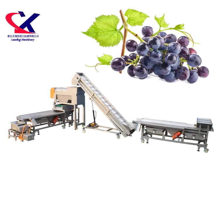 Leading Machinery Wine Making Machine Kit 3T/H Wine Production Line Widely Used Winery Factory Equipment