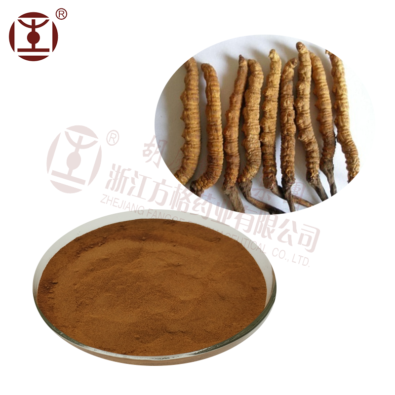 cordyceps sinensis mycelium extract passed GMP HACCP QS ISO9001 certification