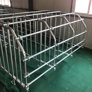 Gestation caisses de porc en cage pour animaux - Product Image 3