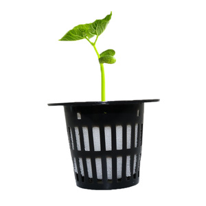Verdure idroponiche Vasi di Vivai Spugna Seme di Fiore <span class=keywords><strong>Semi</strong></span> di Coltivazione Fuori Suolo di Coltivazione Vassoi Sistema - Product Image 3