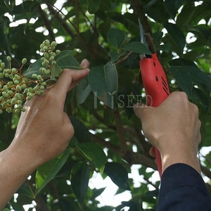 Kéo Điện Orchard Pin Lithium Ion Dây Nho Secateurs Phụ Nữ Sử Dụng Vườn Kéo Tỉa - Product Image 2