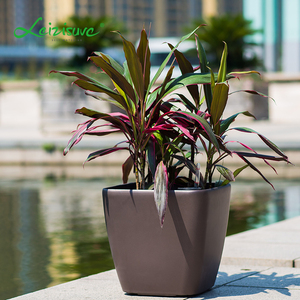 varisized de riego modernas venta al por mayor de plástico de la planta de contenedores macetas y jardineras - Product Image 4