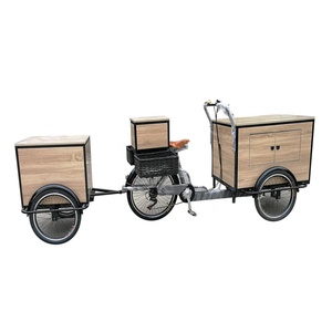 Jbl-chariot à crème glacée électrique à <span class=keywords><strong>3</strong></span> roues, avec congélateur de batterie - Product Image 3