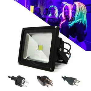 Con la Spina Che Cura Luce Nera 405MN 385NM 395NM 365NM Luce Nera UV 10W 20W 30W 200W 50W 100W LED UV Luce di Inondazione