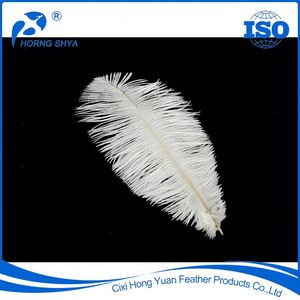 Parte superior de caliente-venta de <span class=keywords><strong>la</strong></span> fábrica de varios tipos de excelente calidad plumas de avestruz - Product Image 3